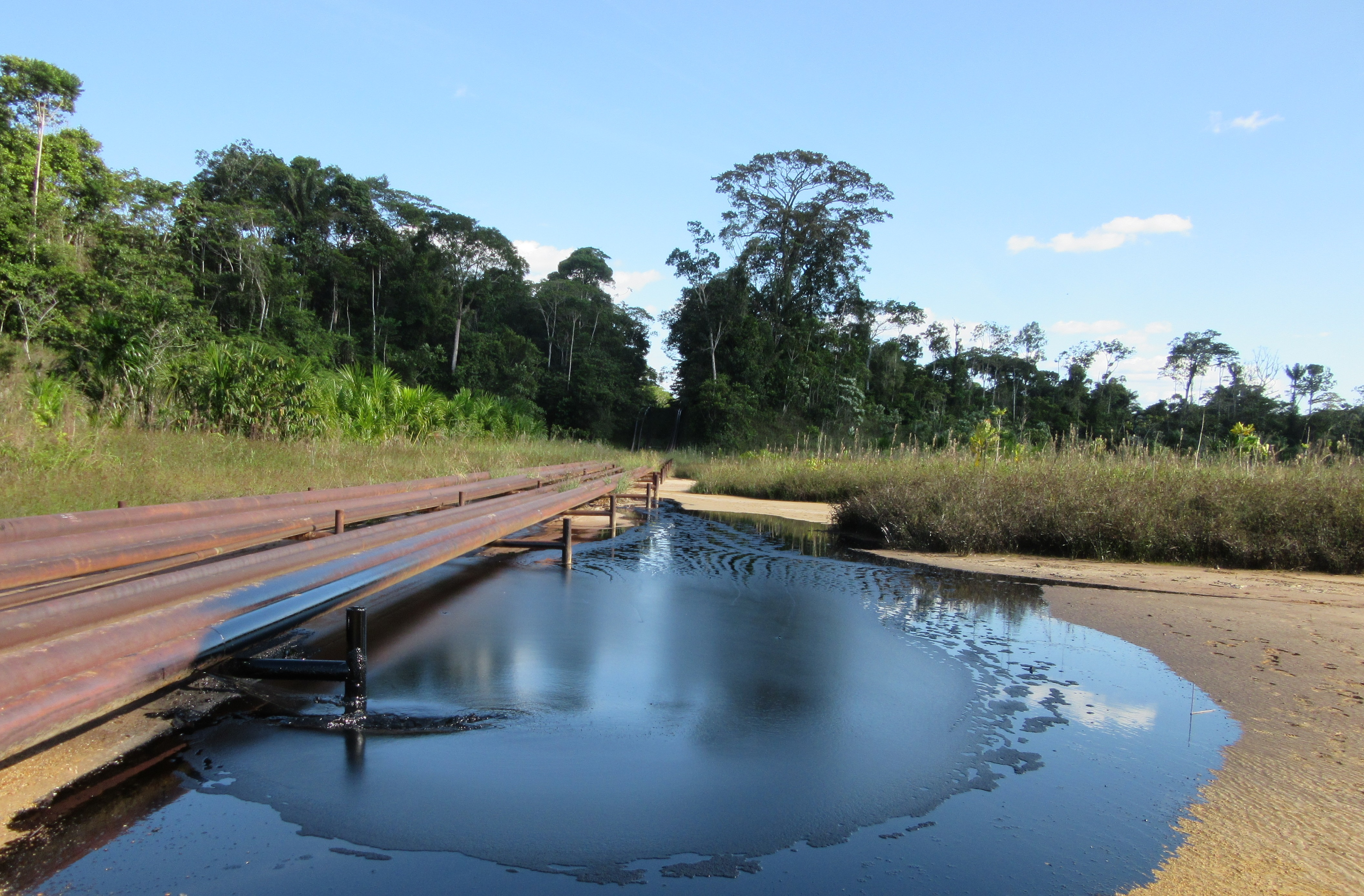 Niveles plomo en sangre, en Amazonas ICTA-UAB